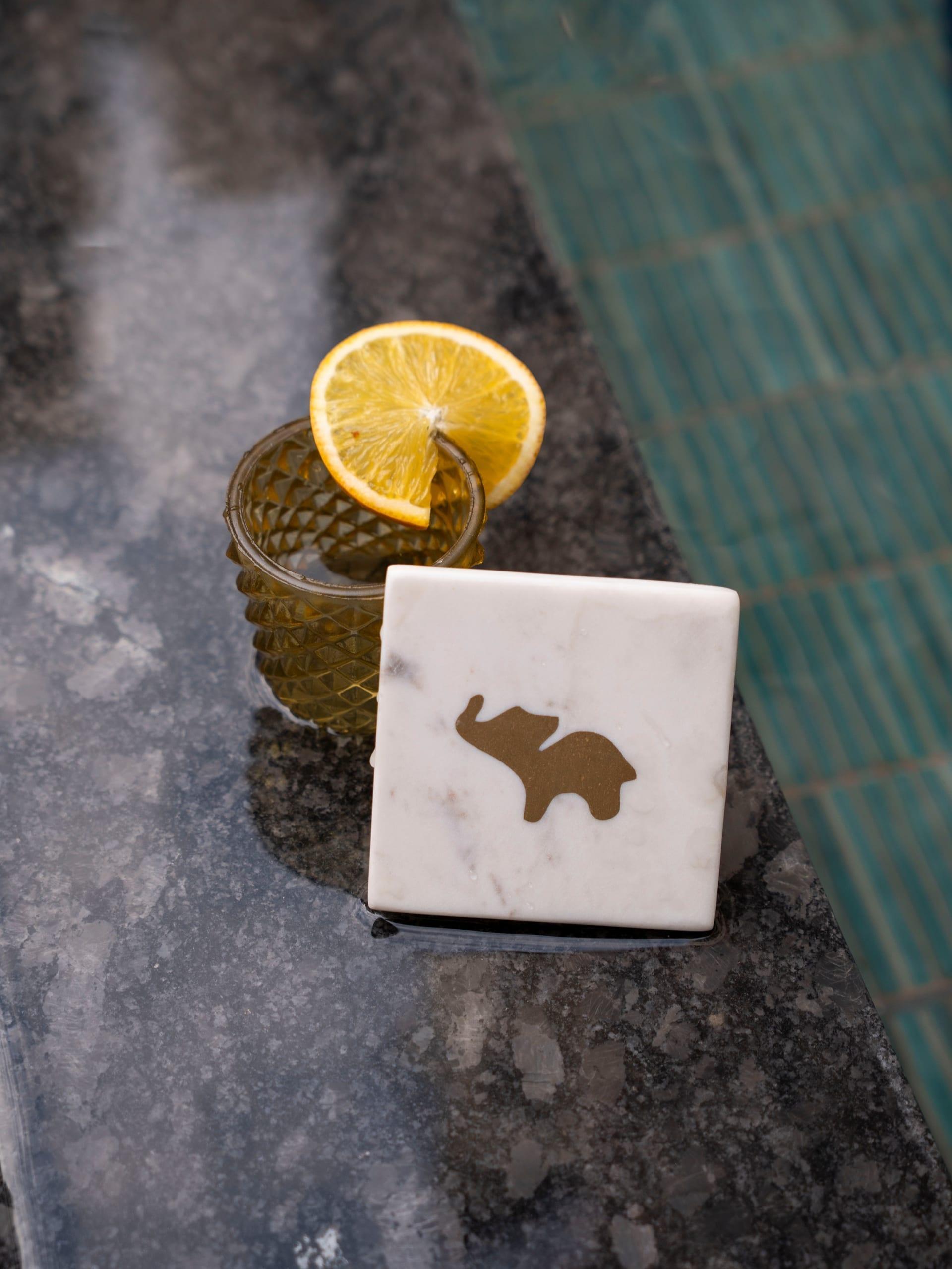 elephant-coaster